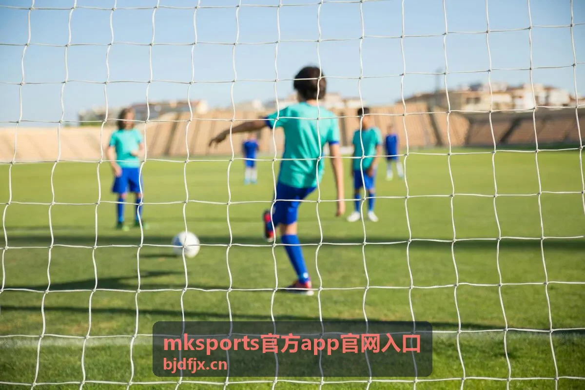 mksports官方app官网入口的安全设置场景示意