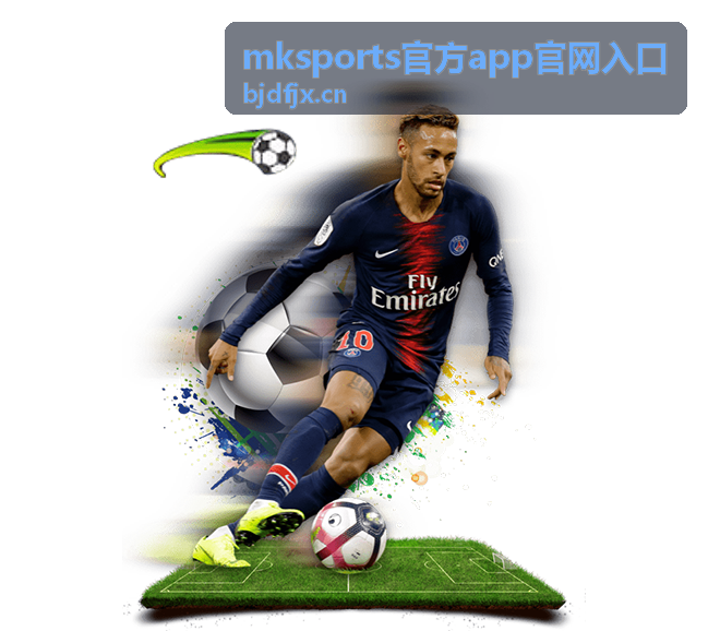 mksports官方app官网入口的入口识别场景示意