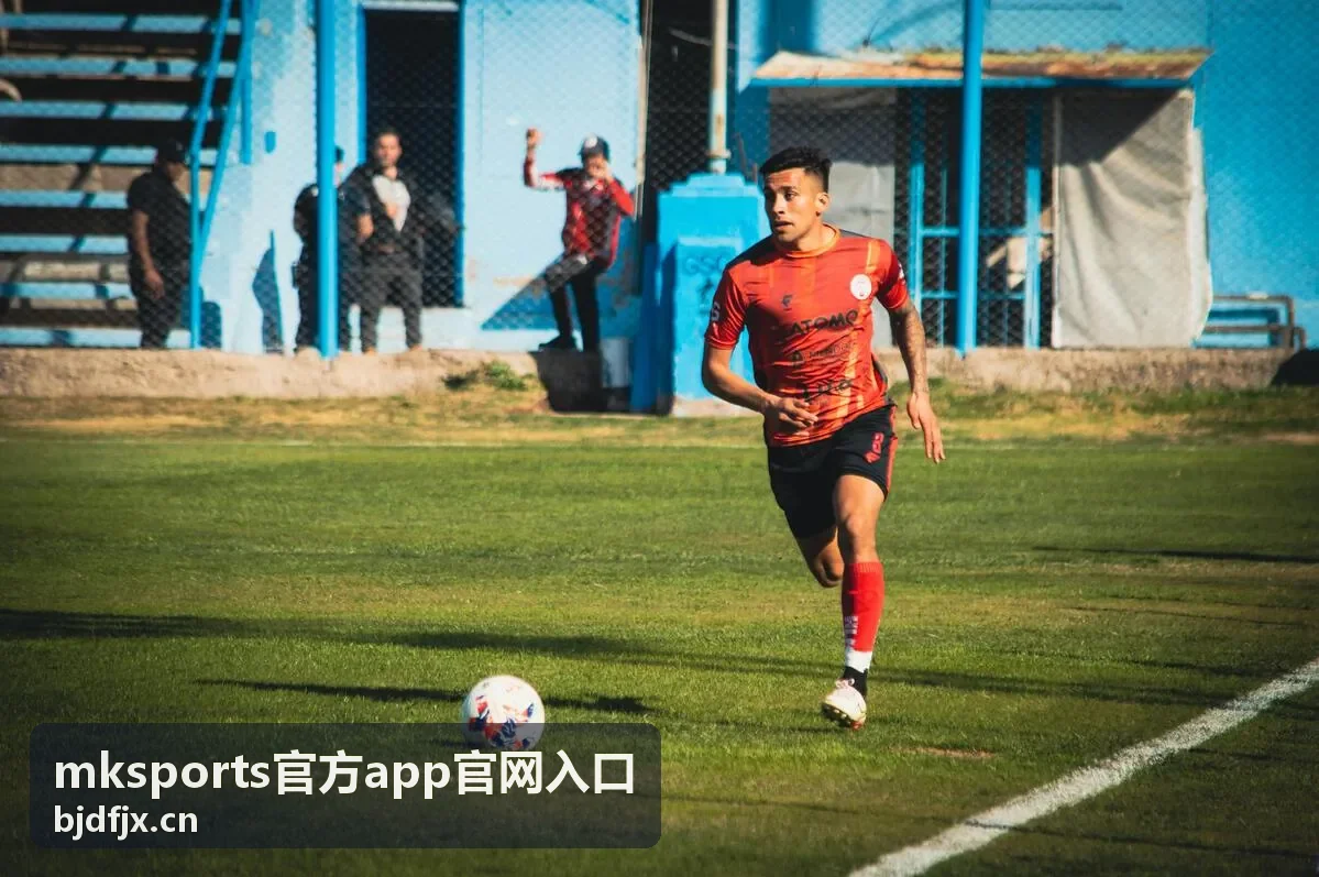 mksports官方app官网入口的版本核对场景示意